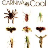 Carnical In Coal - Fear Not